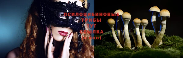 крисы Карталы