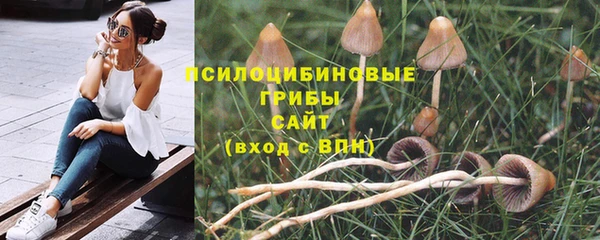 крисы Карталы