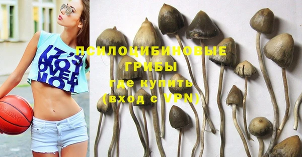 а пвп мука Касимов