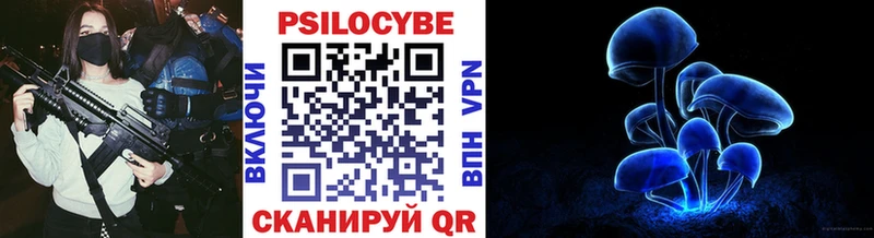 Псилоцибиновые грибы Cubensis  Купить закладки  Агрыз 