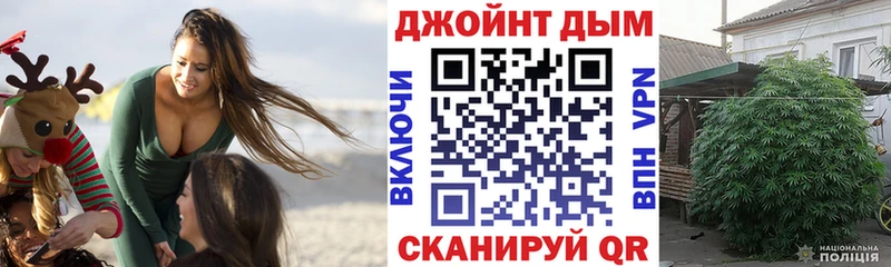 Купить где  Агрыз  Каннабис OG Kush 